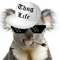 Capa de Teste