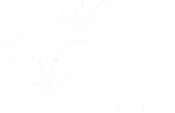 Avatar do Grupo RF Dragon Scan